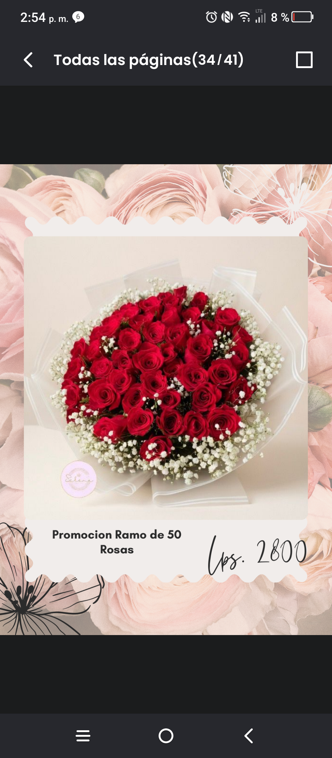 Ramo 50 rosas